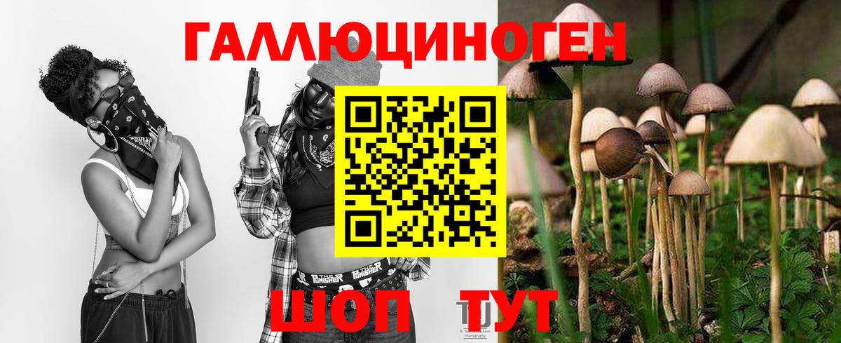 Псилоцибиновые грибы GOLDEN TEACHER  Вход с VPN  Сунжа 